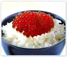 Foodstuff (Processed/Frozen Foods & Ingredients)