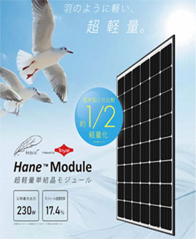 “Hane®” Module